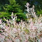 Przytulne Borowkowy Zagajnik 아파트