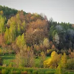 Przytulne Borowkowy Zagajnik 피에초비체
