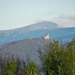 Przytulne Borowkowy Zagajnik * 피에초비체