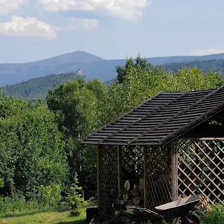 Przytulne Borowkowy Zagajnik Apartment Piechowice (Karkonosze)