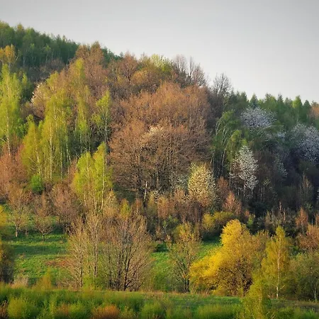 Przytulne Borowkowy Zagajnik Piechowice (Karkonosze)