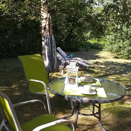 Przytulne Borowkowy Zagajnik * Piechowice (Karkonosze)