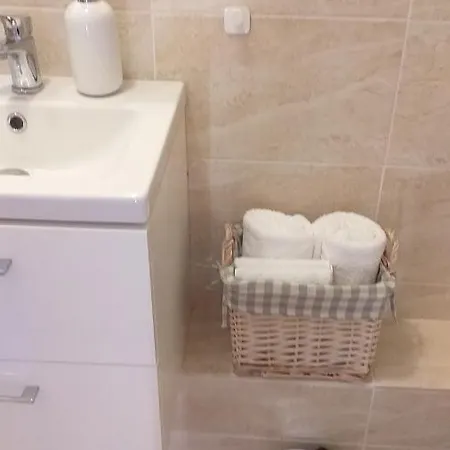 Przytulne Borowkowy Zagajnik Apartmán