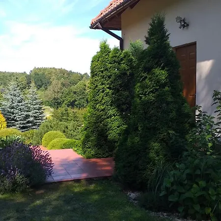 Przytulne Borowkowy Zagajnik Piechowice (Karkonosze)