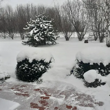 Przytulne Borowkowy Zagajnik *