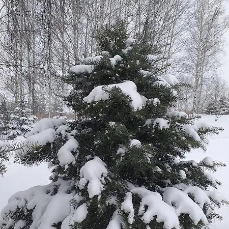 アパート Przytulne Borowkowy Zagajnik ピエホビツェ