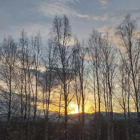 Przytulne Borowkowy Zagajnik Lejlighed *