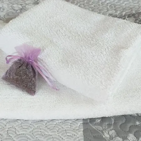 Przytulne Borowkowy Zagajnik