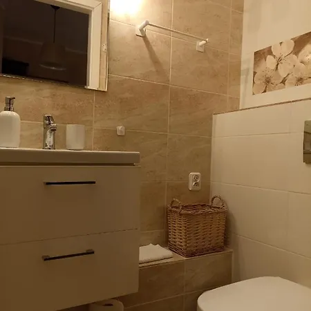 Przytulne Borowkowy Zagajnik Apartmán Piechowice (Karkonosze)