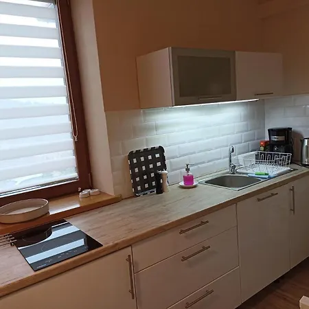 Apartment Przytulne Borowkowy Zagajnik Piechowice (Karkonosze)
