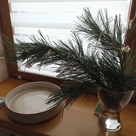 Lejlighed Przytulne Borowkowy Zagajnik *