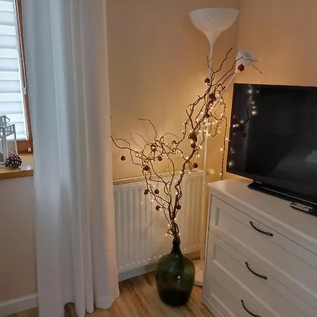 Apartmán Przytulne Borowkowy Zagajnik *