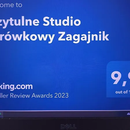 Apartment Przytulne Borowkowy Zagajnik Piechowice (Karkonosze)