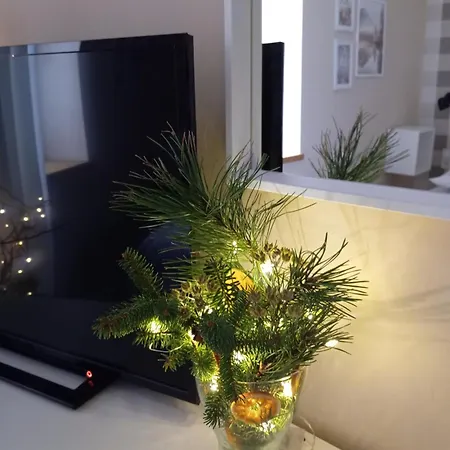 Przytulne Borowkowy Zagajnik