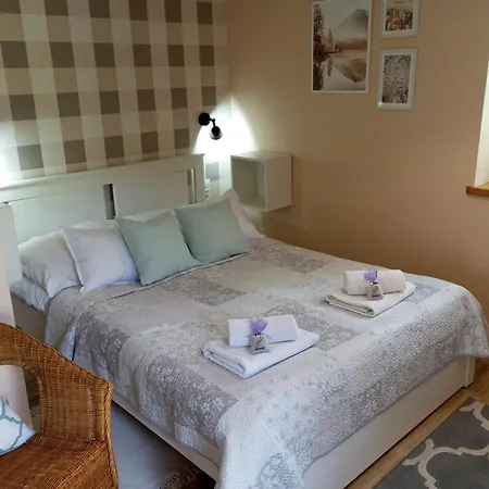 Przytulne Borowkowy Zagajnik