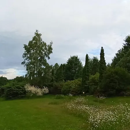 Apartamento Przytulne Borówkowy Zagajnik