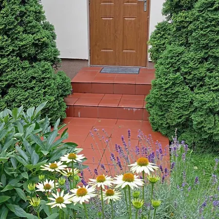 アパート Przytulne Borowkowy Zagajnik