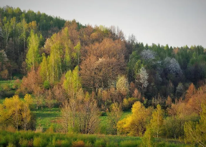 Przytulne Borowkowy Zagajnik Piechowice (Karkonosze)