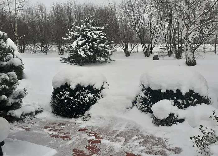 Przytulne Borówkowy Zagajnik *