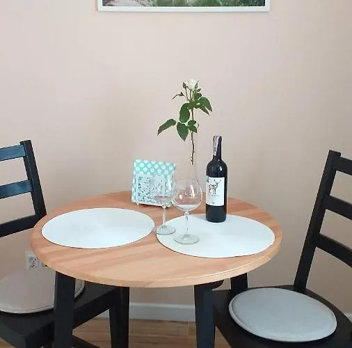 Przytulne Borowkowy Zagajnik Apartment Piechowice (Karkonosze)