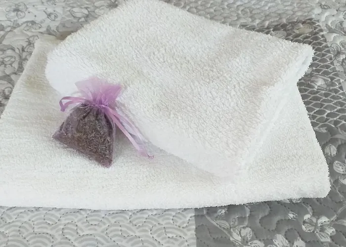 Przytulne Borowkowy Zagajnik