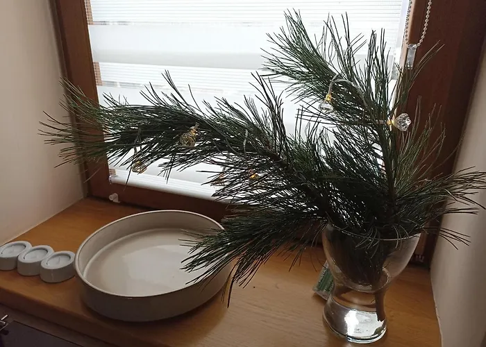 Apartamento Przytulne Borówkowy Zagajnik *