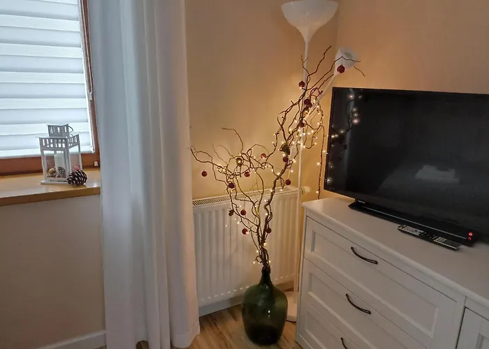 Apartment Przytulne Borowkowy Zagajnik *