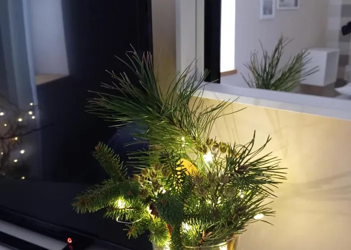 Przytulne Borowkowy Zagajnik