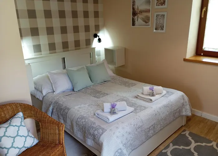 Przytulne Borowkowy Zagajnik