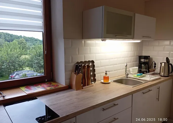 Apartamento Przytulne Borówkowy Zagajnik *