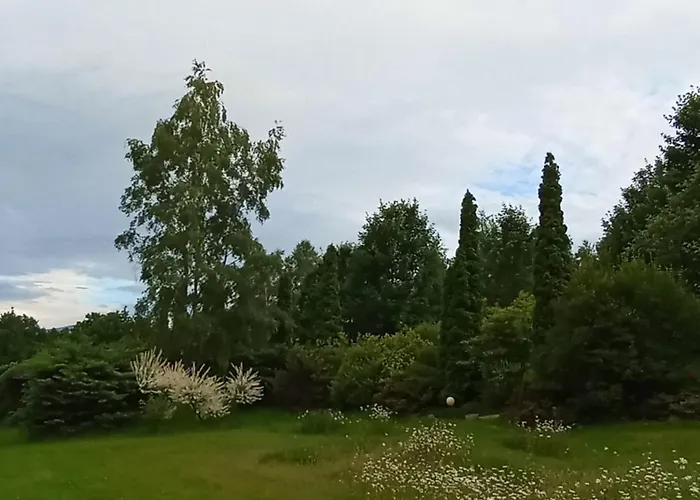 Apartment Przytulne Borowkowy Zagajnik