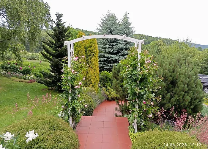 Przytulne Borowkowy Zagajnik Apartment