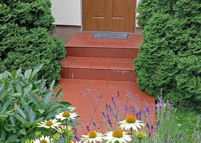 Apartment Przytulne Borowkowy Zagajnik